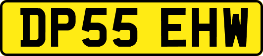 DP55EHW
