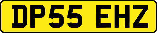 DP55EHZ