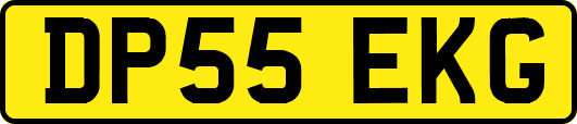 DP55EKG