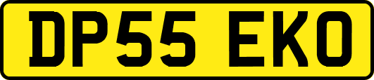 DP55EKO