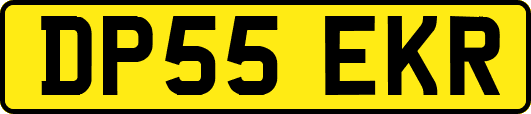 DP55EKR