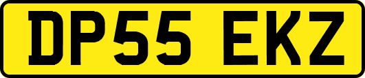DP55EKZ