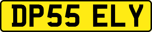 DP55ELY