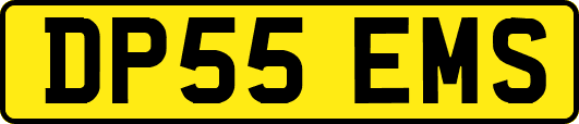 DP55EMS
