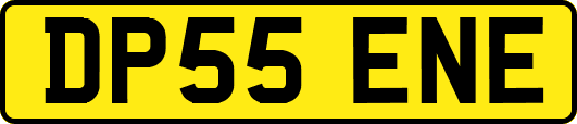 DP55ENE