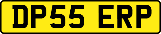 DP55ERP