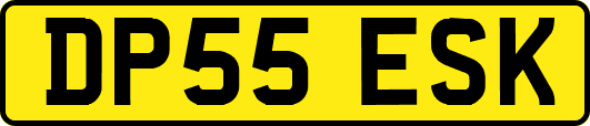DP55ESK