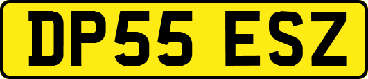 DP55ESZ