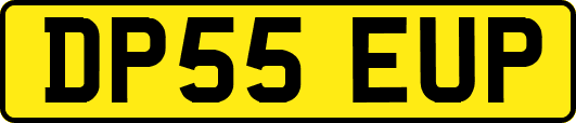 DP55EUP