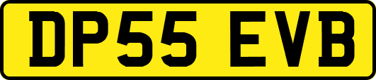 DP55EVB