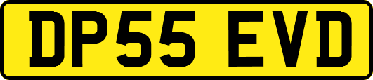 DP55EVD