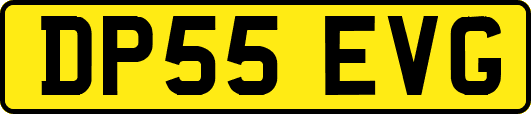 DP55EVG