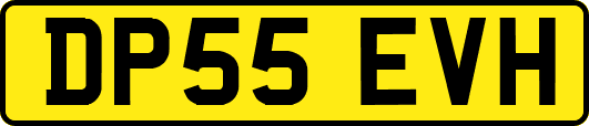 DP55EVH