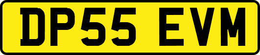 DP55EVM