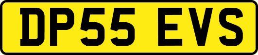 DP55EVS