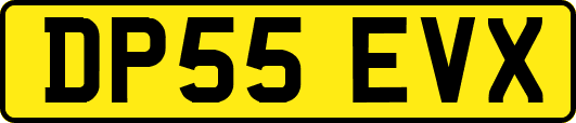 DP55EVX