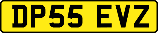 DP55EVZ