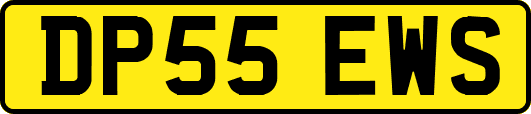 DP55EWS