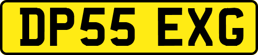 DP55EXG