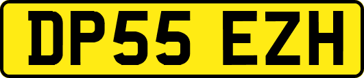 DP55EZH