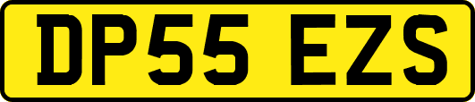 DP55EZS