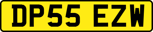 DP55EZW