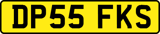 DP55FKS