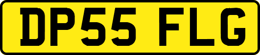 DP55FLG