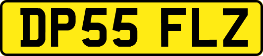 DP55FLZ
