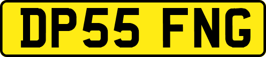 DP55FNG