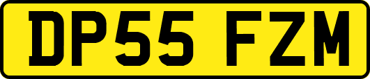 DP55FZM