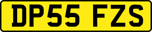 DP55FZS