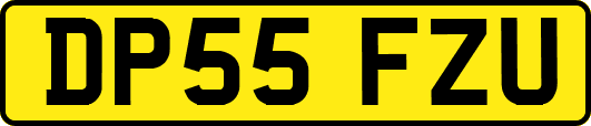 DP55FZU