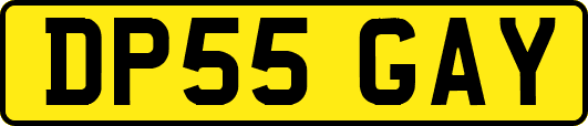 DP55GAY