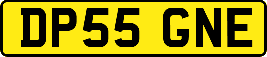 DP55GNE