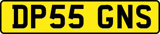 DP55GNS