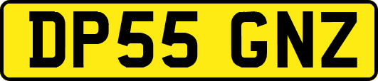 DP55GNZ