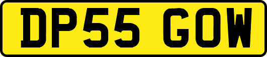 DP55GOW