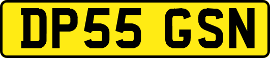 DP55GSN