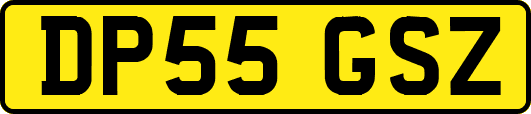 DP55GSZ