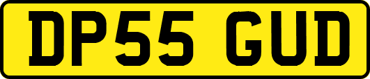 DP55GUD