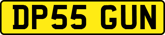 DP55GUN