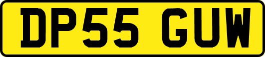 DP55GUW