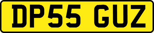 DP55GUZ