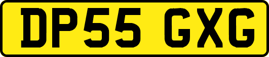 DP55GXG