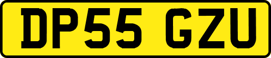 DP55GZU
