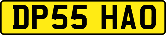 DP55HAO