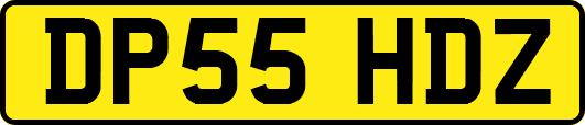 DP55HDZ