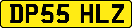 DP55HLZ