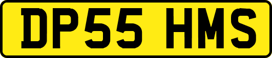 DP55HMS